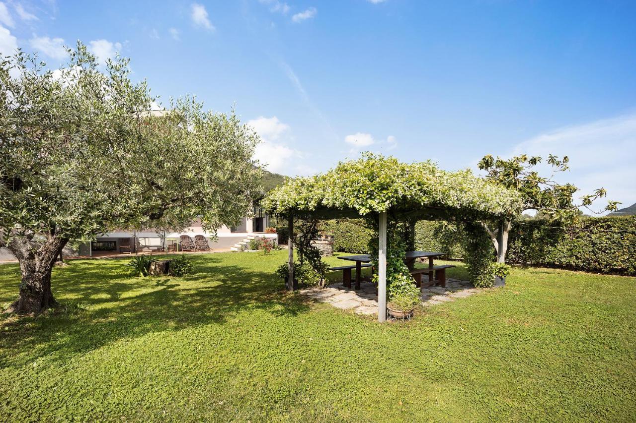 Mansarda Albero Verde Con Piscina Casanova Lerrone Eksteriør billede